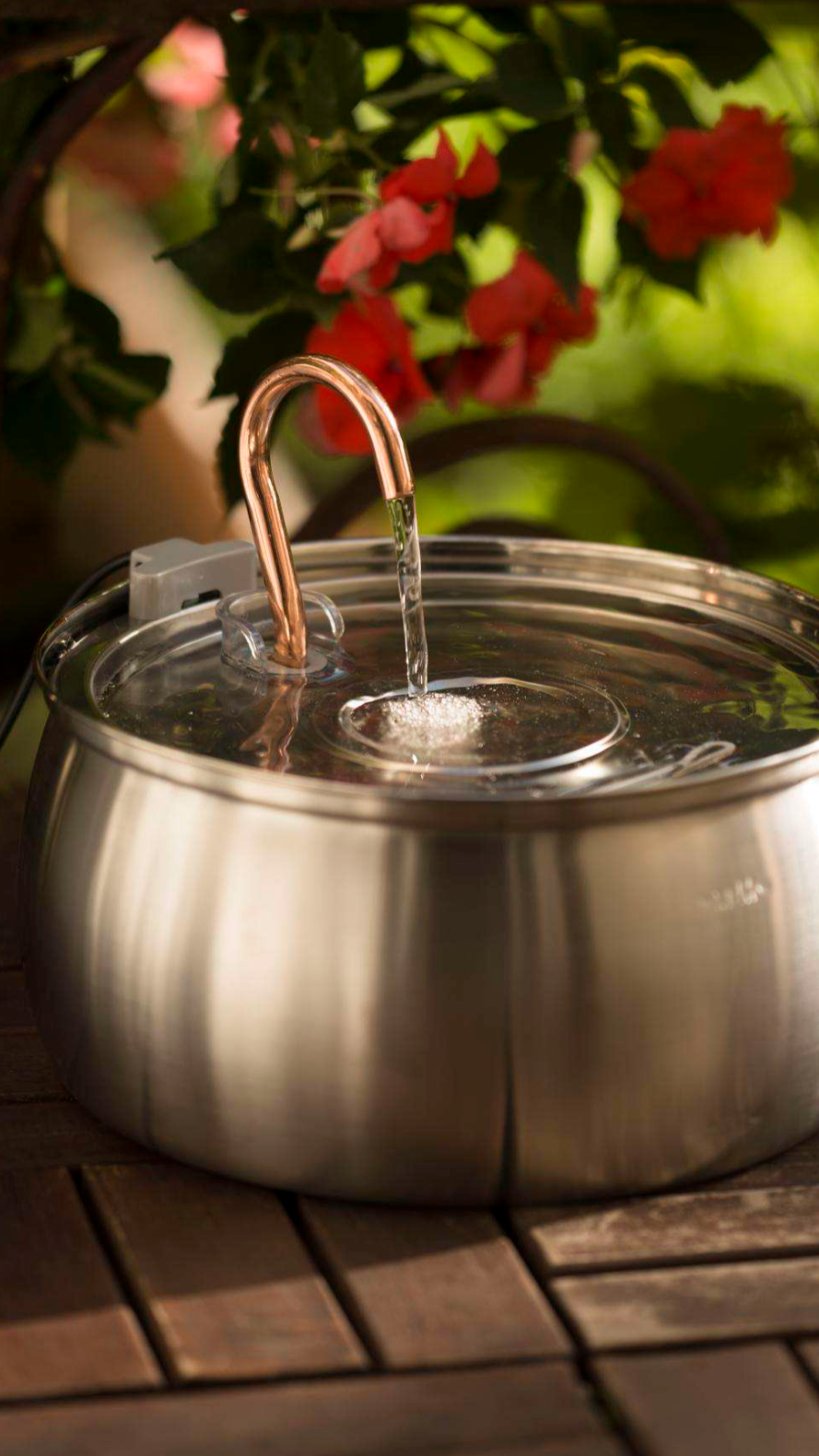 Lilova Katzenbrunnen