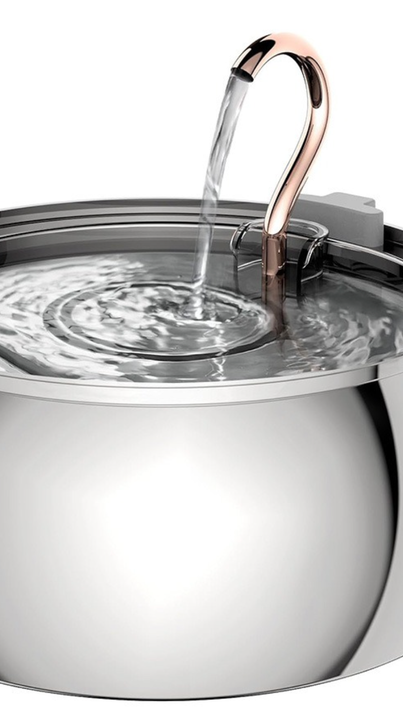 Lilova Katzenbrunnen