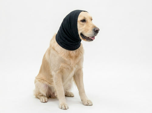 Die Lilova calm-ears