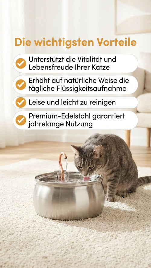 Lilova Katzenbrunnen 4.0L