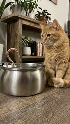 Lilova Katzenbrunnen 4.0L