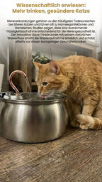 Lilova Katzenbrunnen 4.0L